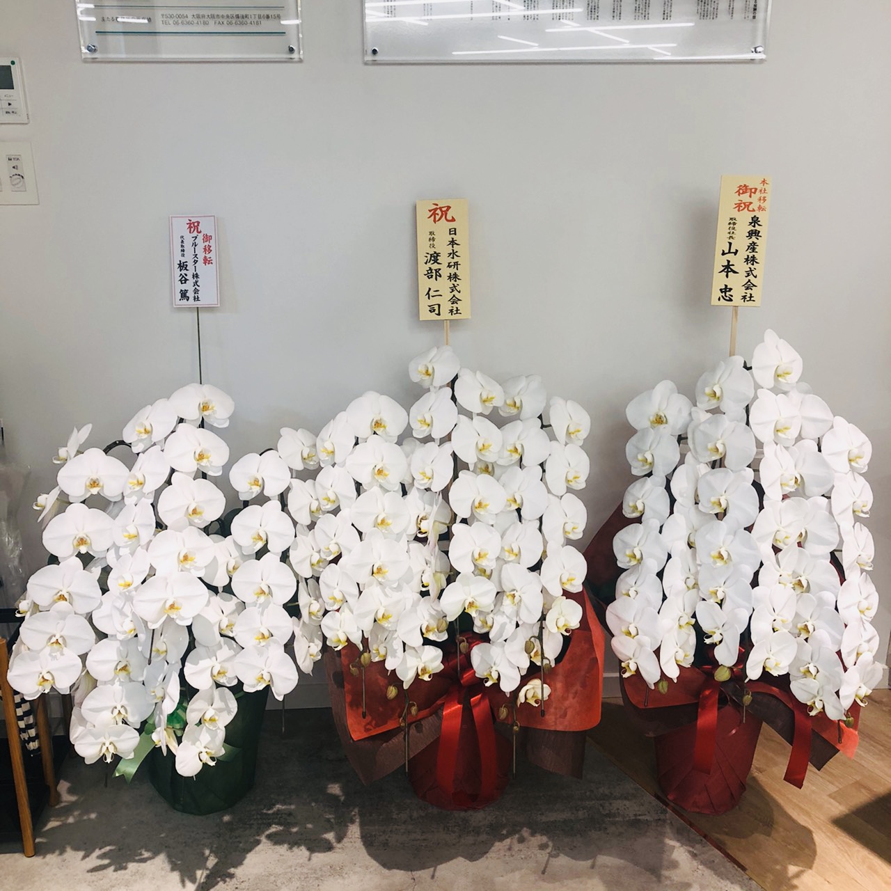 沢山のお祝いありがとうございます