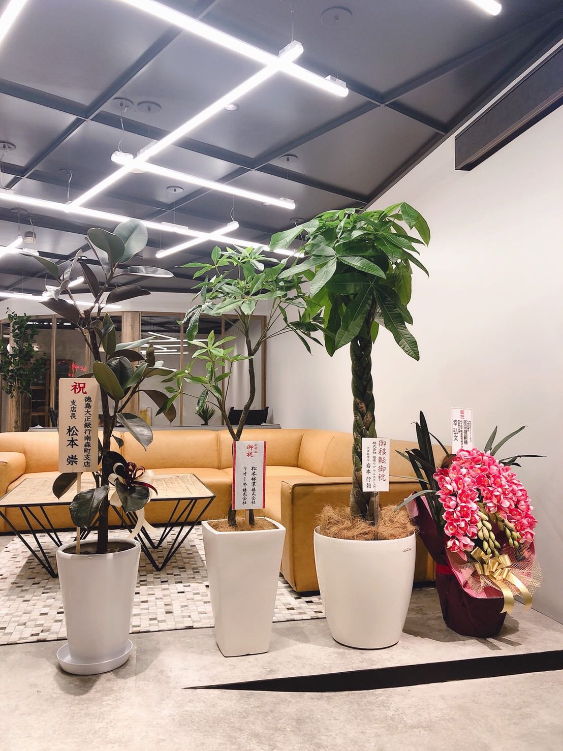 沢山のお祝いありがとうございます